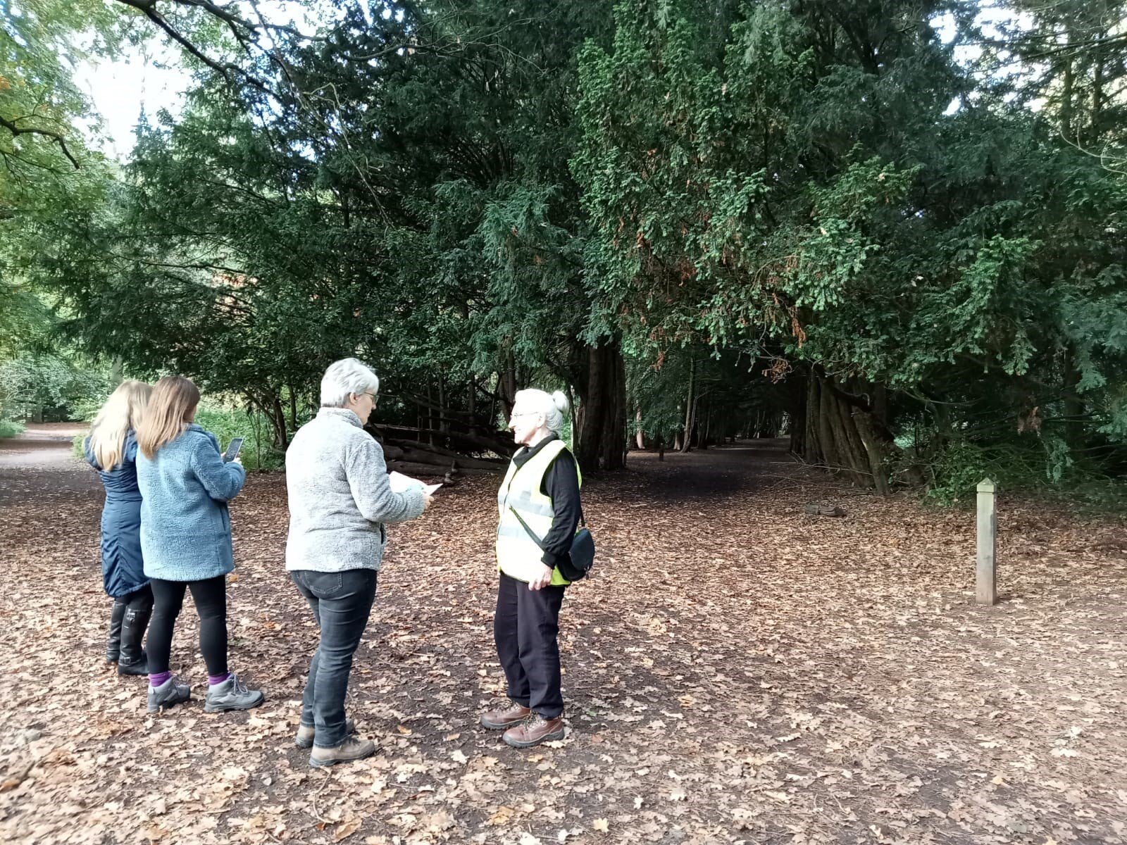 Group meeting outdoors for a walk