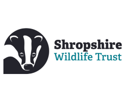 Shropshire Wildlife Trust logo