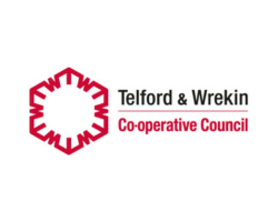 T&W Council logo for Partnerships logos - website (3)